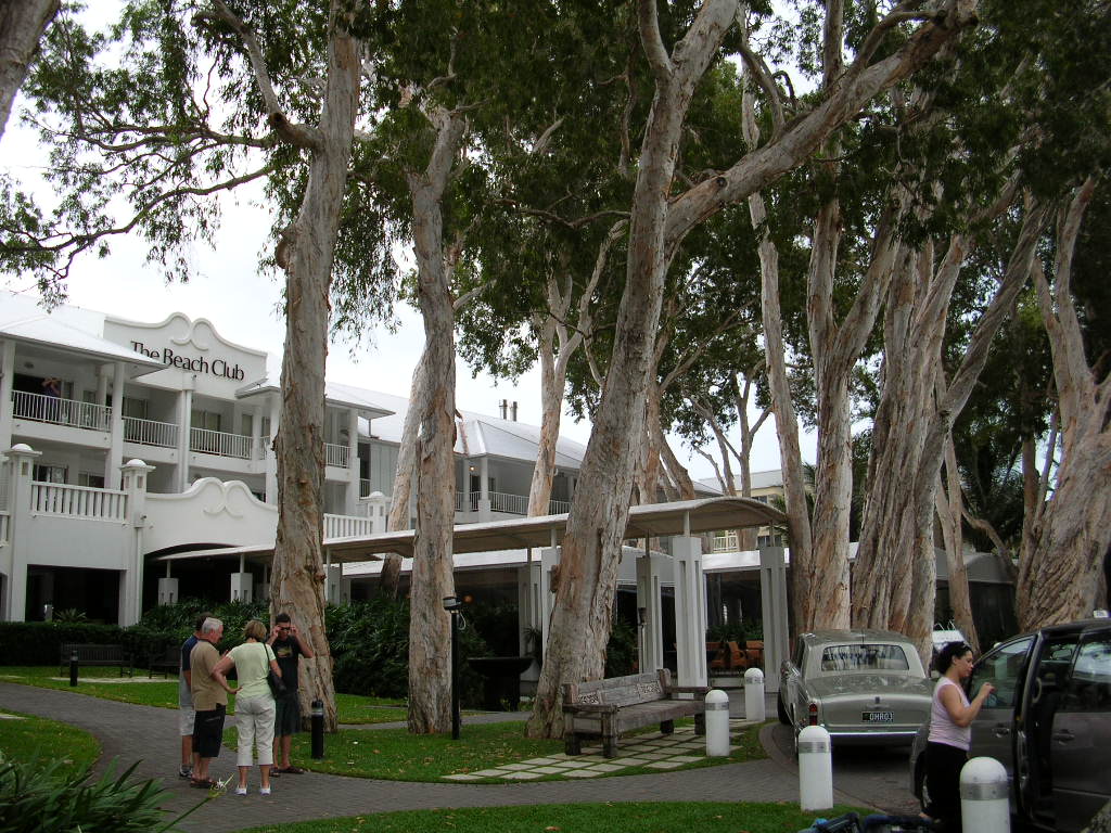 palmcove